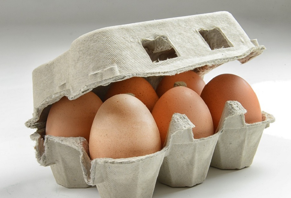 Od čega zavisi rok trajanja jaja i do kada je upotreba bezbedna???-0